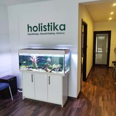 Holistika 4